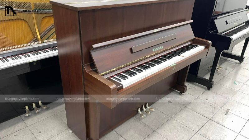 Thuê Piano tại Trung Nguyên Piano: Thủ tục, bảng giá và lợi ích 5 Yếu tố ảnh hưởng đến giá thuê đàn piano