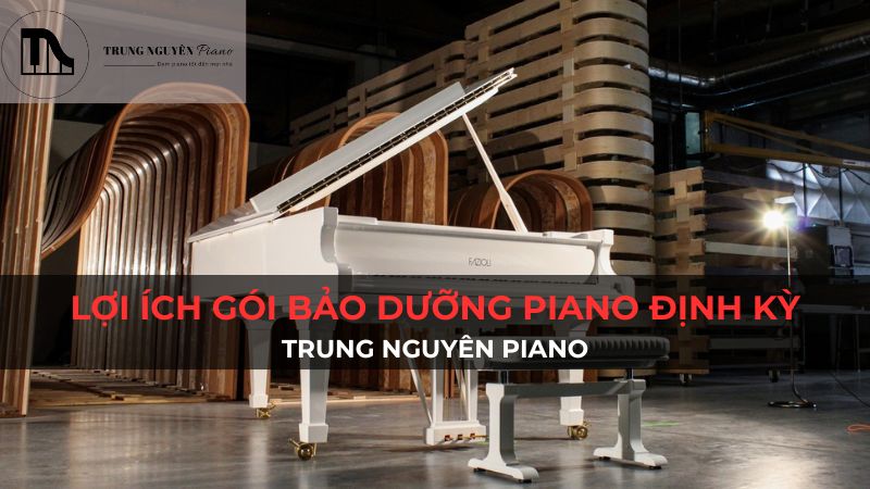 Lợi ích gói bảo dưỡng piano định kỳ Trung Nguyên Piano