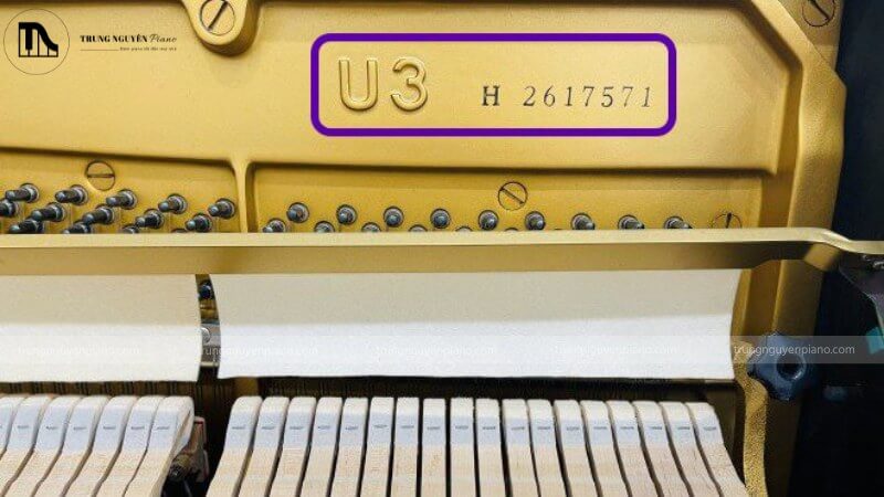 Hình ảnh tem bảo hành chính hãng và số serial trên đàn piano