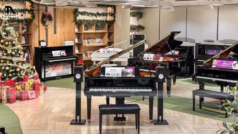 Showroom trưng bày nhiều loại đàn piano chính hãng, không gian sang trọng và chuyên nghiệp