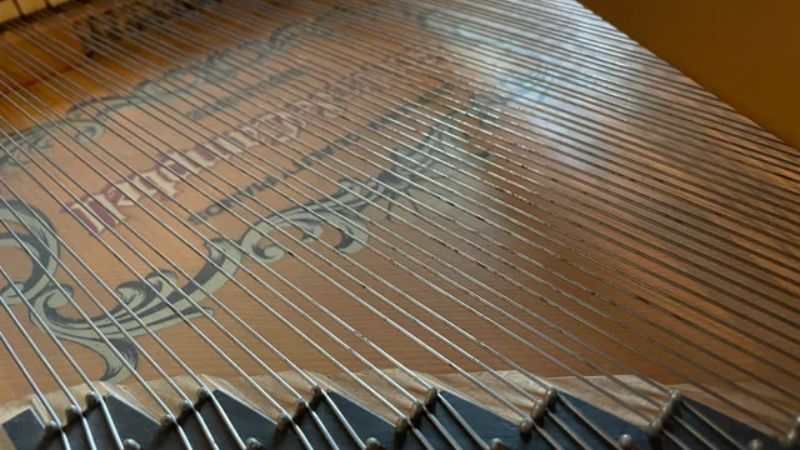 Bảo quản dây đàn piano cơ: Bí quyết tránh gỉ sét hiệu quả 3 Đốm gỉ màu nâu đỏ hiện rõ trên bề mặt dây đàn