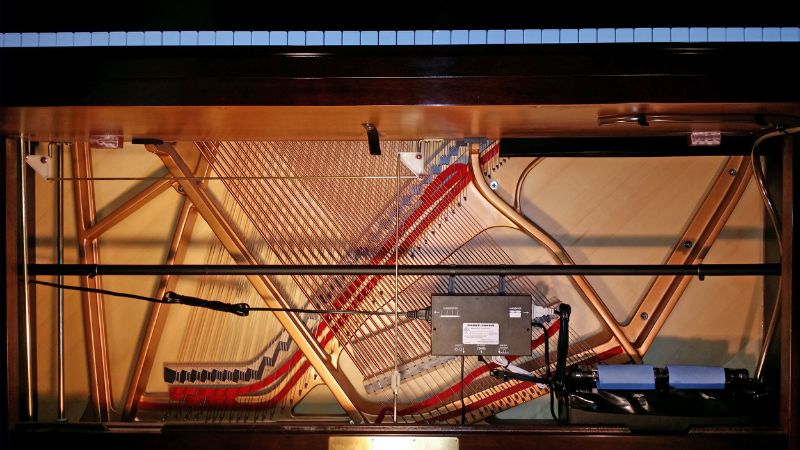 Bảo quản dây đàn piano cơ: Bí quyết tránh gỉ sét hiệu quả 4 Hệ thống kiểm soát độ ẩm Dampp-Chaser được lắp bên trong đàn