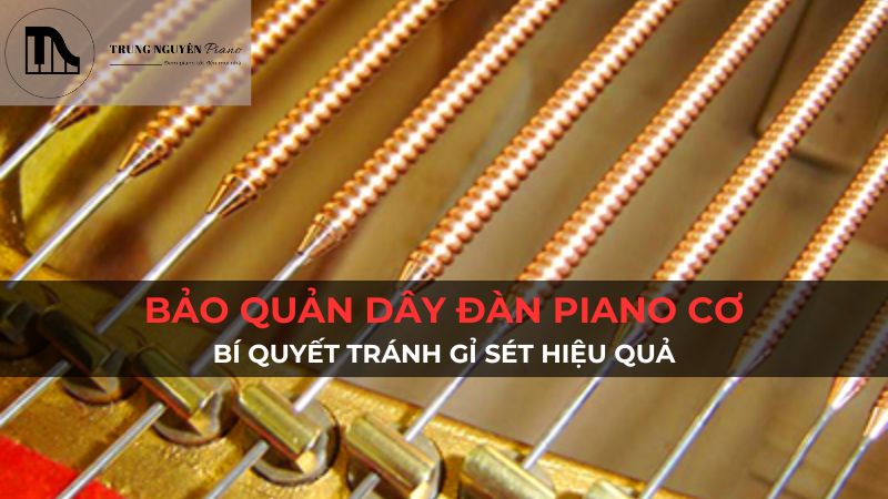Bảo quản dây đàn piano cơ: Bí quyết tránh gỉ sét hiệu quả