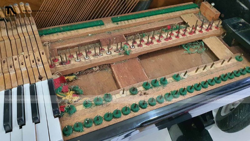 Cận cảnh dấu hiệu mối mọt trên gỗ của đàn piano