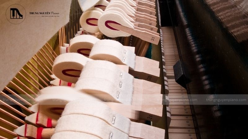 Cận cảnh bộ máy cơ đàn piano, tập trung vào phần búa đàn có độ mòn khác nhau