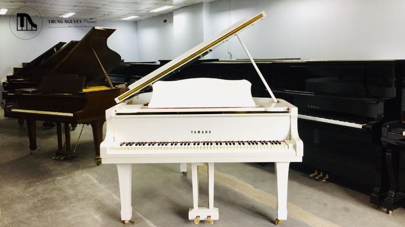 Đàn Grand Piano, thường được gọi là đại dương cầm hay piano cánh bướm
