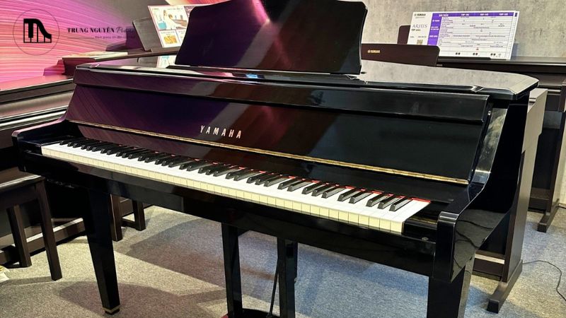 Baby Grand hoặc Medium Grand có thể là lựa chọn phù hợp.