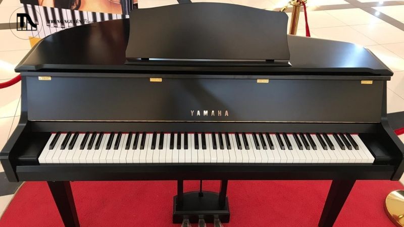Grand Piano là một nhạc cụ lớn và tinh xảo