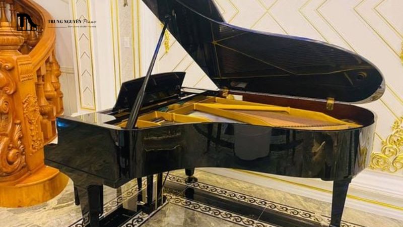 Parlor Grand có kích thước từ 2.00m đến 2.08m (khoảng 6 feet 3 inches đến 6 feet 10 inches