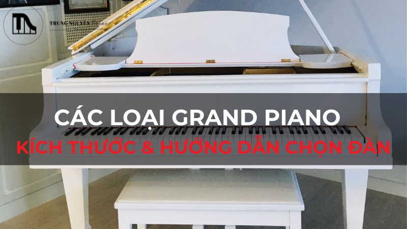 Các loại Grand Piano: Kích thước & hướng dẫn chọn đàn