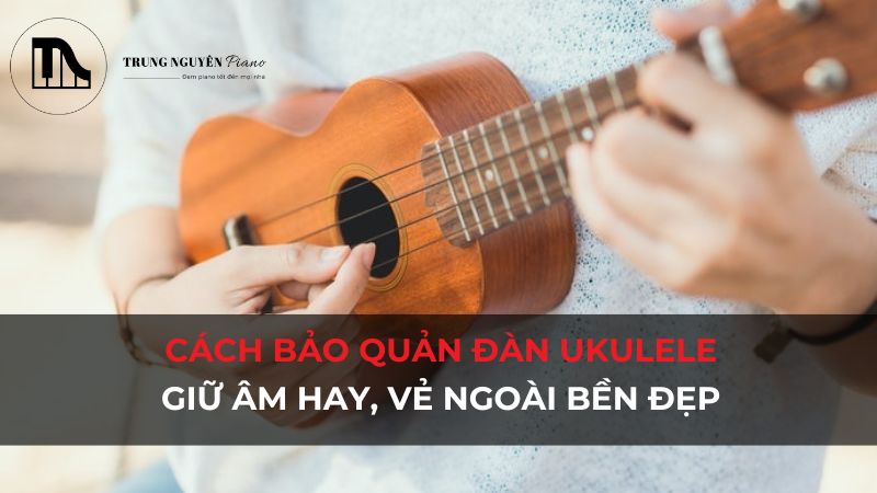 Cách bảo quản đàn Ukulele: Giữ âm hay, vẻ ngoài bền đẹp