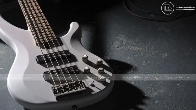 Tìm hiểu cấu tạo của một cây Guitar Điện chi tiết 3 Bộ phận cần đàn của guitar điện