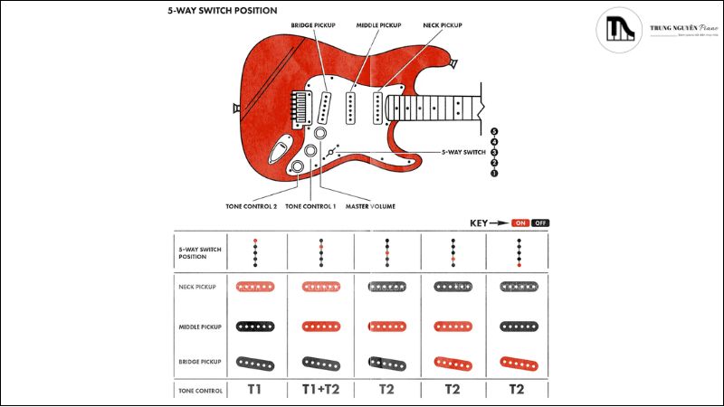 Tìm hiểu cấu tạo của một cây Guitar Điện chi tiết 5 Hệ thống điện tử và phụ kiện của guitar điện