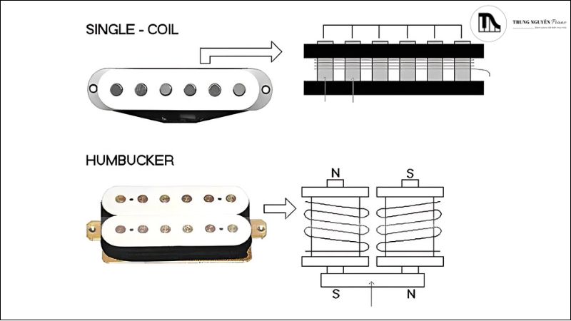 Tìm hiểu cấu tạo của một cây Guitar Điện chi tiết 6 So sánh pickup single-coil và pickup humbucker