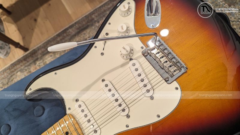 Tìm hiểu cấu tạo của một cây Guitar Điện chi tiết 10 Cần rung của guitar điện