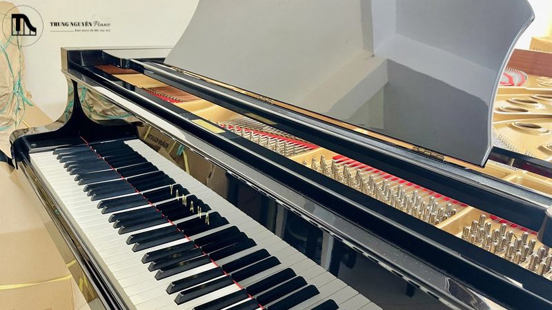 Dù là cơ hay điện, đều không có các chi tiết kim loại chuyển động với tốc độ cao và ma sát