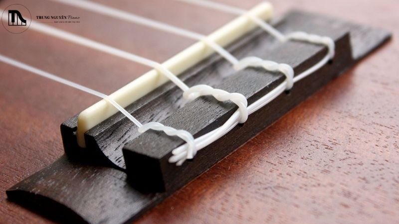 Vệ sinh dây đàn và khóa đàn Ukulele