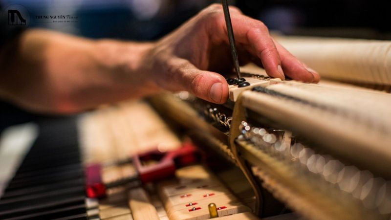 Chính sách bảo hành đàn piano: Chi tiết khách hàng cần biết 6 Chất lượng dịch vụ bảo hành