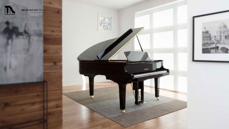 Giá đàn piano cơ chịu ảnh hưởng từ nhiều yếu tố phức tạp
