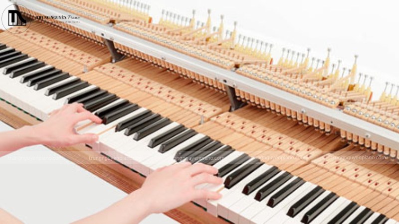 Chơi đàn piano liên tục có cần nghỉ không? 1 Bộ máy action của piano cơ đang hoạt động, phức tạp và chắc chắn