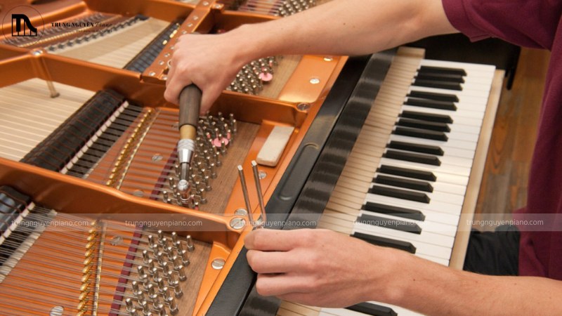 Chơi đàn piano liên tục có cần nghỉ không? 4 Kỹ thuật viên đang lên dây đàn piano, chỉnh bộ máy action