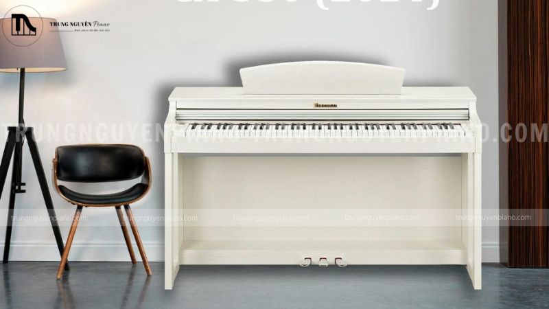 Hướng dẫn cách chọn đàn piano điện