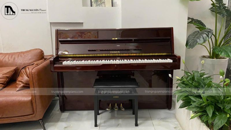 Thuê Piano tại Trung Nguyên Piano: Thủ tục, bảng giá và lợi ích 7 Lưu ý chọn dịch vụ thuê đàn piano chất lượng