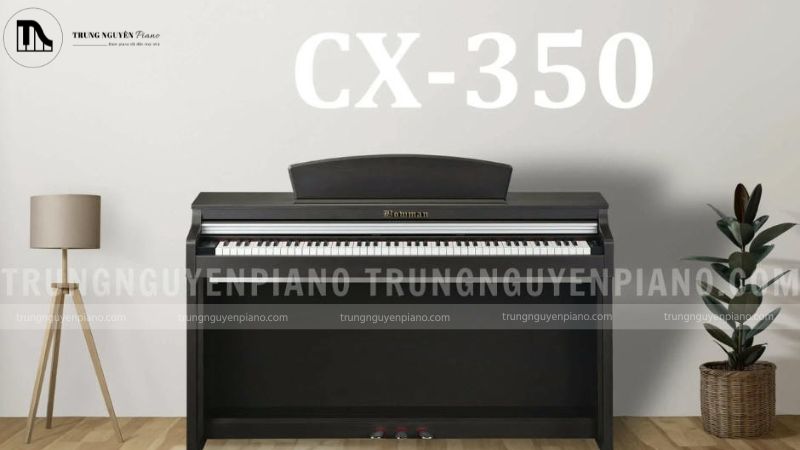 Nên chọn piano cơ hay piano điện cho phòng thu