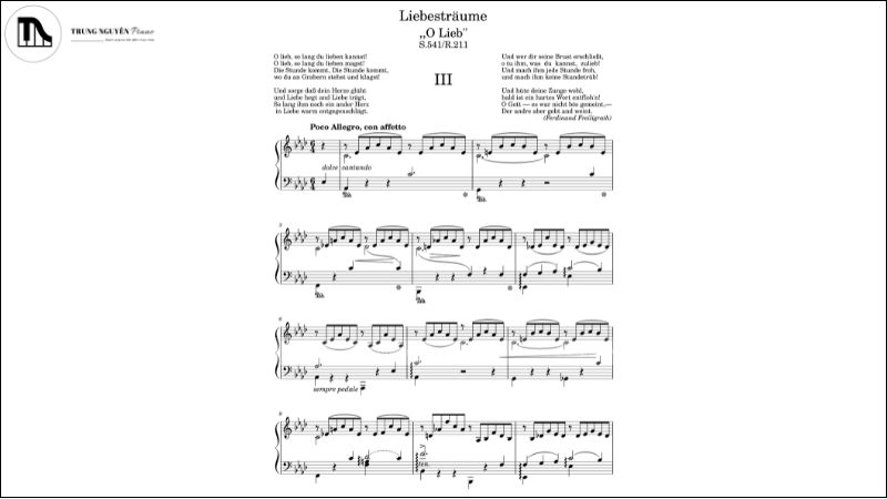 Hướng dẫn chi tiết cách chọn repertoire piano theo trình độ phù hợp 6 Gợi ý repertoire piano trình độ nâng cao