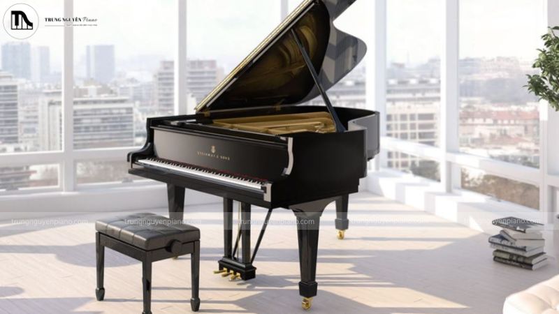 Hướng dẫn chi tiết cách chọn repertoire piano theo trình độ phù hợp 9 Một bản repertoire piano chỉ thật sự phát huy trọn vẹn giá trị khi được thể hiện trên cây đàn phù hợp