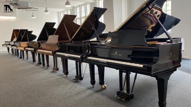 Mua đàn Piano trưng bày: Lợi ích, rủi ro và cách kiểm tra 6 Nên mua piano trưng bày không