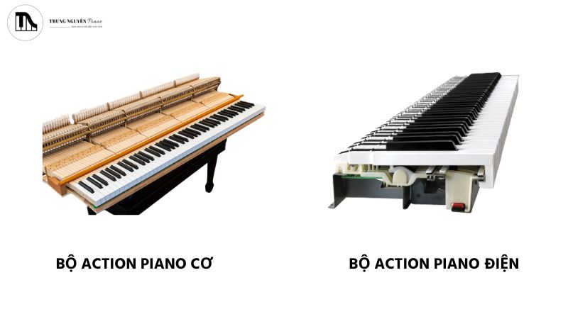 Bàn phím piano cơ mang lại phản hồi phức tạp và cảm giác chơi chân thực