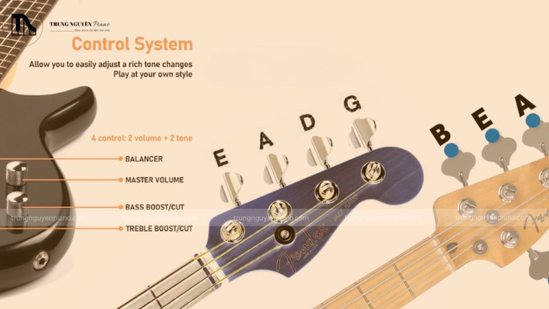 Cần đàn của bass 4 dây và 5 dây