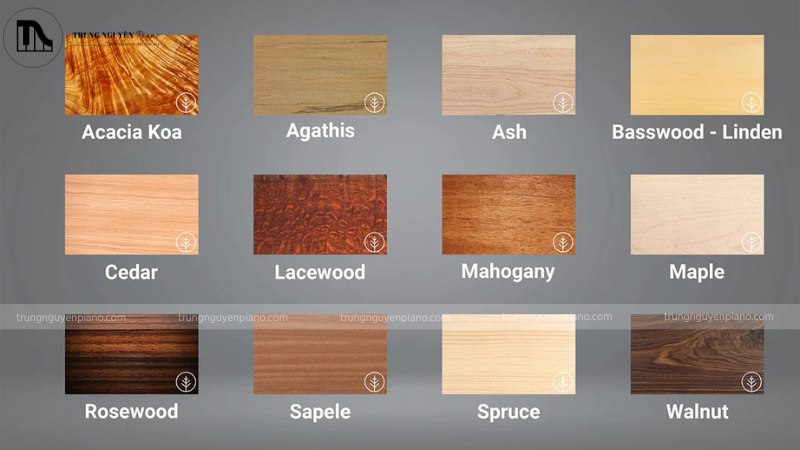 Một số loại gỗ phổ biến ở đàn bass