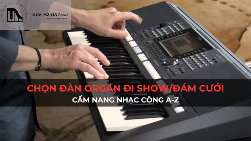 Chọn đàn organ đi show/đám cưới: Cẩm nang nhạc công A-Z