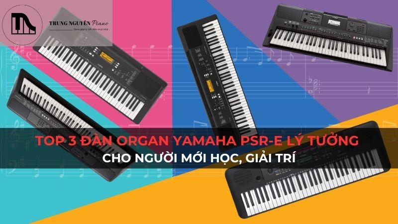 Top 3 đàn organ Yamaha PSR-E series lý tưởng cho người mới học, giải trí