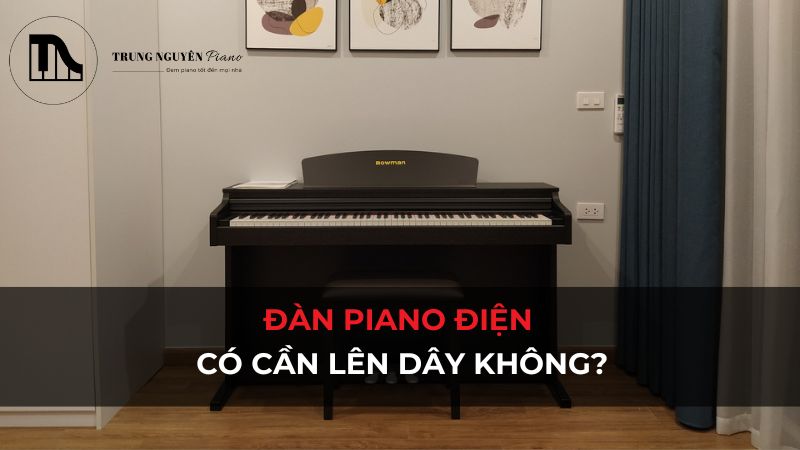 Đàn Piano Điện có cần lên dây không? Giải đáp chi tiết