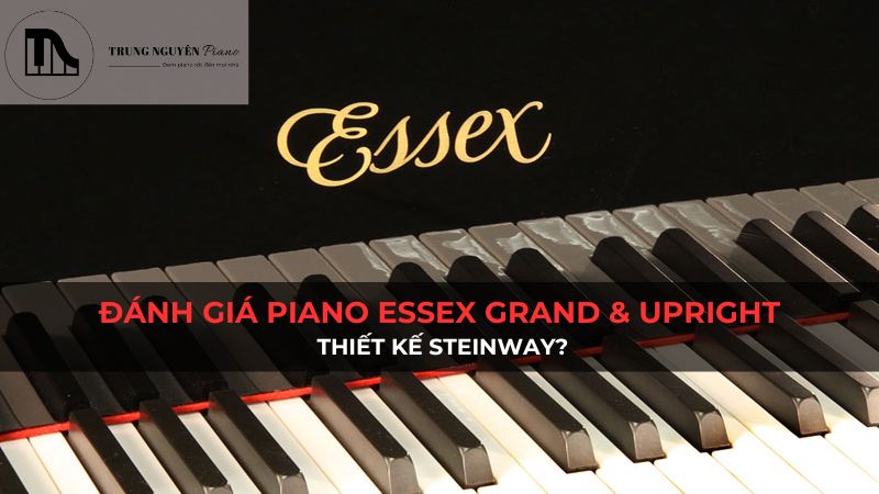 Đánh giá đàn piano Essex grand & upright: Thiết kế Steinway?
