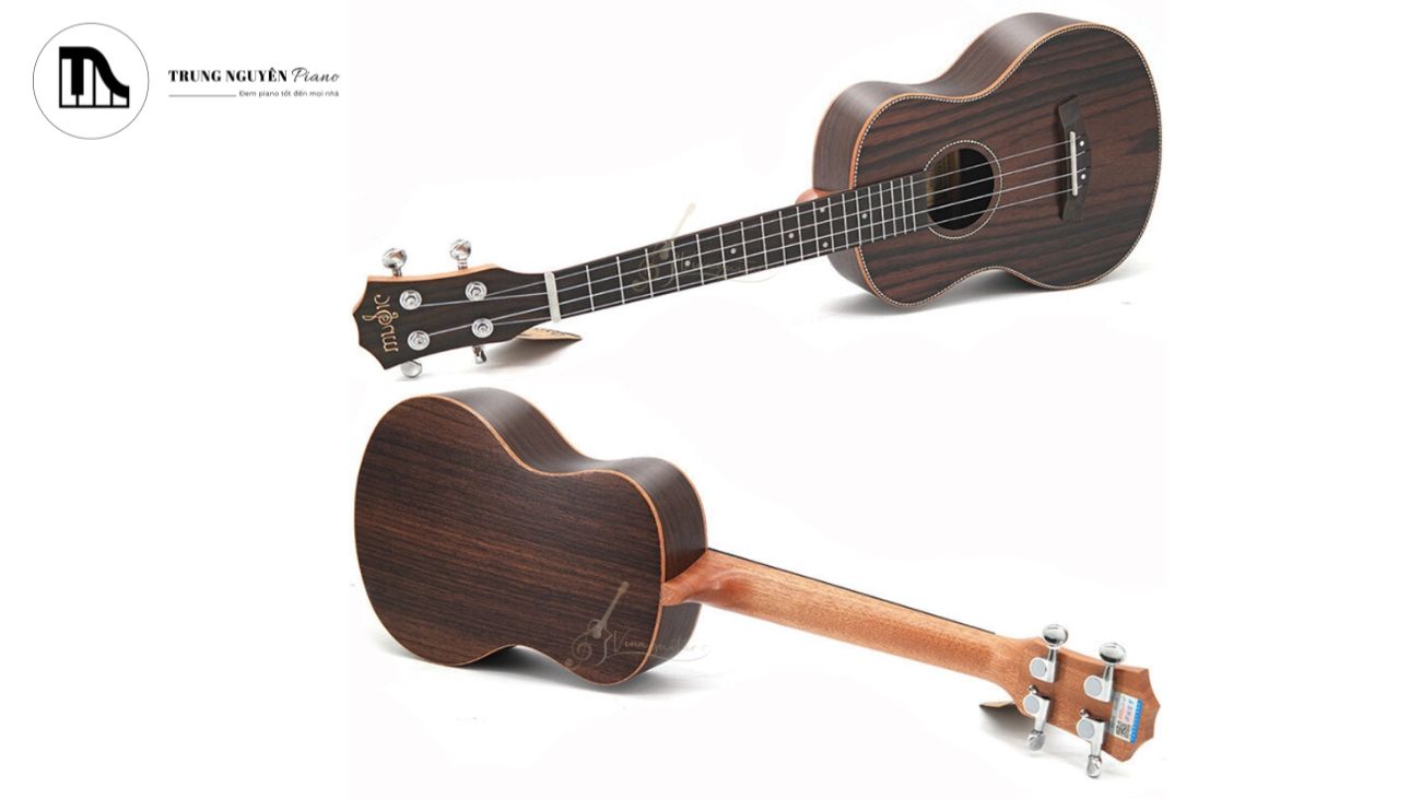 Âm thanh của Tenor giàu âm sắc, có độ vang và chiều sâu tốt