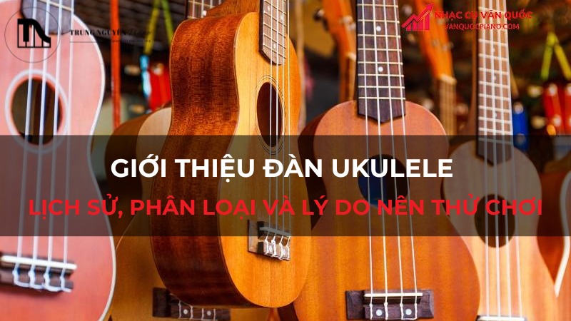 Giới thiệu đàn Ukulele: Lịch sử, phân loại và lý do nên thử chơi