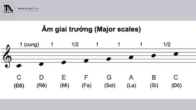 Các bậc trong âm giai C Major và các hợp âm tương ứng