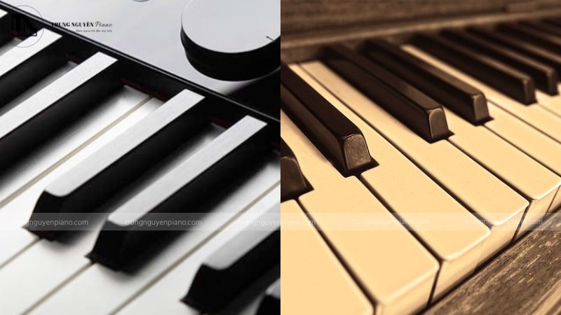 Bề mặt phím nhựa thông thường và phím đàn piano mô phỏng ngà voi