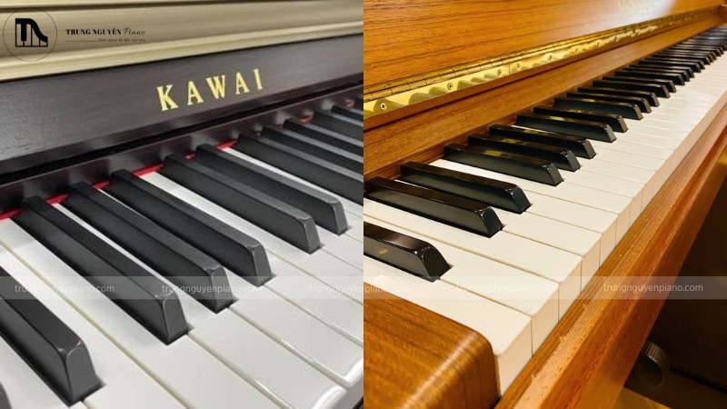 Bàn phím piano cơ và bàn phím piano điện chất lượng cao