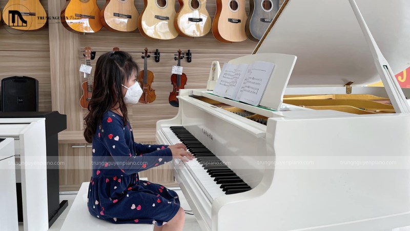 Một cây đàn có độ nhạy tốt là lựa chọn lý tưởng cho người mới và trẻ em