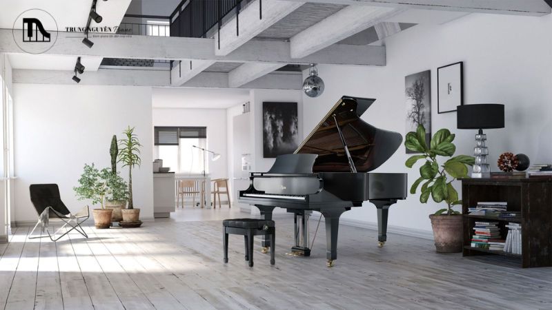 Kích thước là một trong những yếu tố ảnh hưởng đến giá của một cây đàn Grand Piano