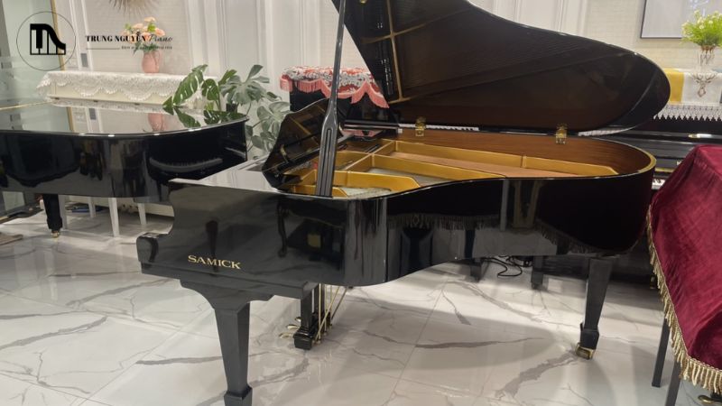 Mục đích chính là học tập, giải trí gia đình, biểu diễn nghiệp dư hay chuyên nghiệp