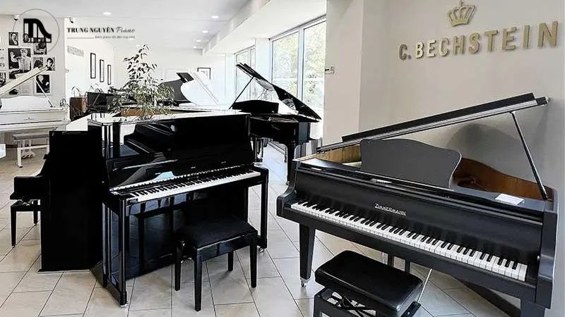 Đàn mới mang lại sự yên tâm về chất lượng ban đầu và chính sách bảo hành chính hãng