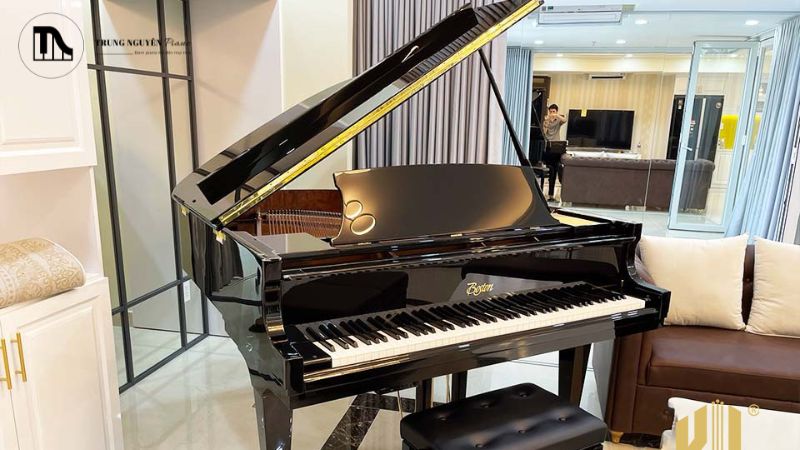 Mua đàn Grand Piano từ nguồn uy tín, nơi đàn đã được kiểm định kỹ thuật