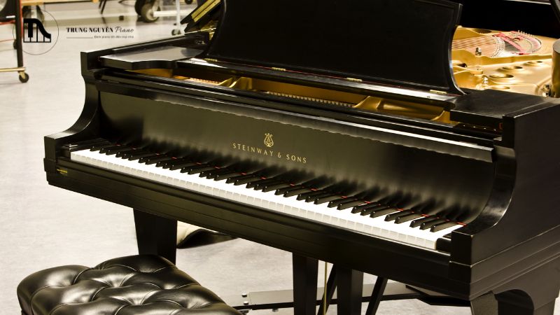 Thương hiệu và nguồn gốc xuất xứ đóng vai trò quan trọng trong việc định giá đàn Grand Piano