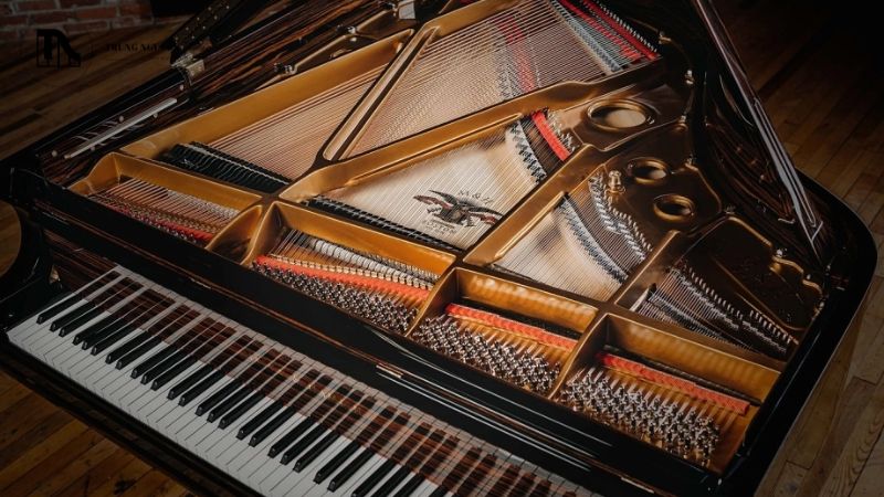 Giá đàn Grand Piano mới rất đa dạng, tùy thuộc vào thương hiệu, kích thước và dòng sản phẩm